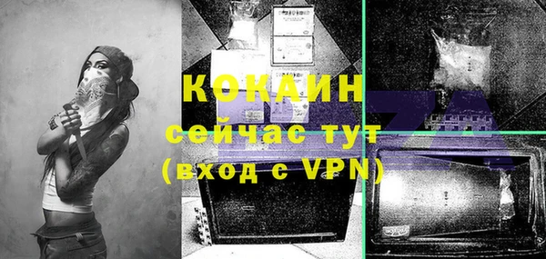 спиды Магас