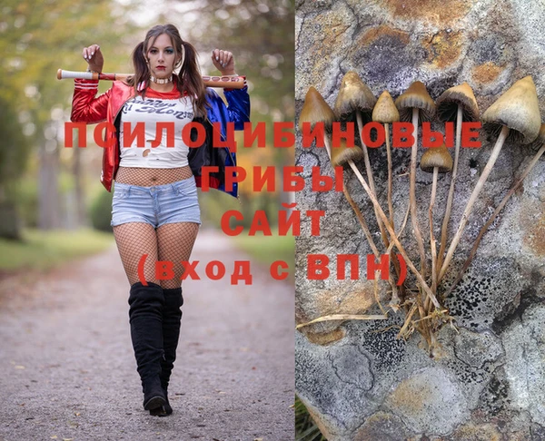 стаф Михайловка