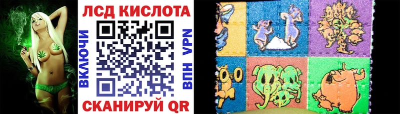купить закладку  Стародуб  Марки NBOMe 1,5мг 