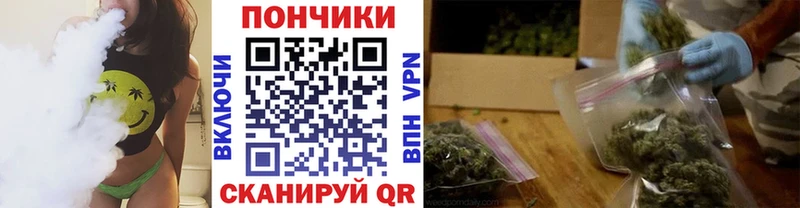 купить закладку  Стародуб  Канабис White Widow 